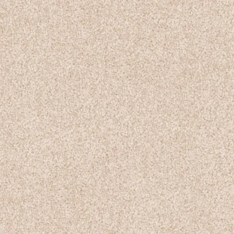 Manuscript carpet swatch